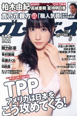 假结婚